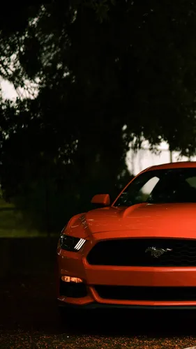 Мустанг Обои на телефон красный спортивный автомобиль, припаркованный на подъездной дорожке