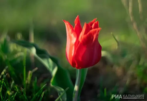 в хорошем качестве