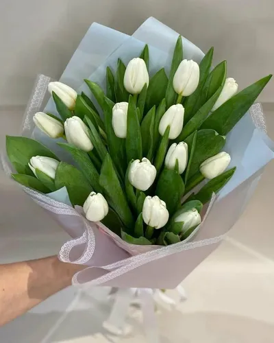 Тюльпаны Фото тарелка белых цветов