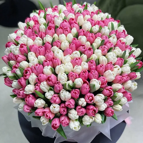 Тюльпаны Фото букет из розовых и белых цветов