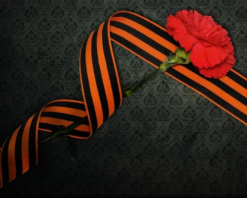 9 Мая Обои на телефон цветок на полосатом одеяле