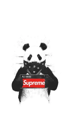Supreme Обои на телефон панда с табличкой
