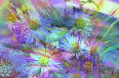 Абстракция Цветы Обои на телефон крупный план фиолетовых цветов
