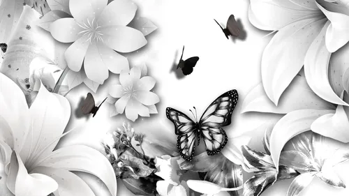 Абстракция Цветы Обои на телефон группа белых цветов