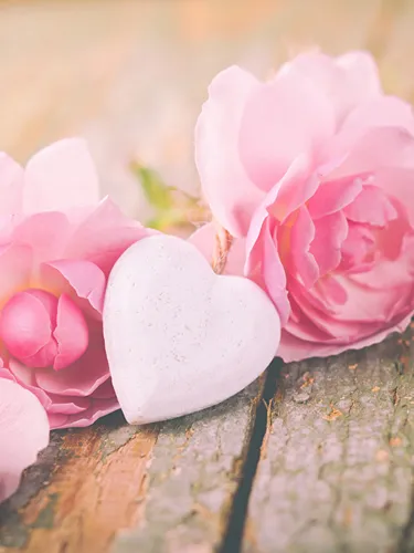 День Святого Валентина Обои на телефон группа розовых цветов