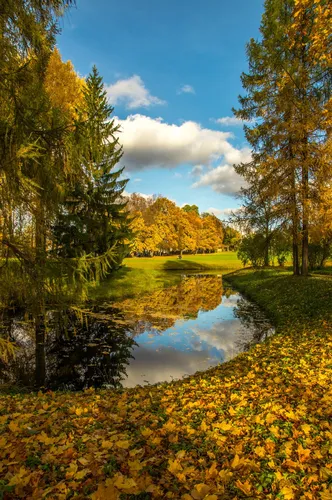 Золотая Осень Обои на телефон река с желтыми листьями и деревьями вокруг