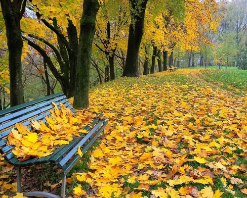Золотая Осень Обои на телефон скамейка в парке