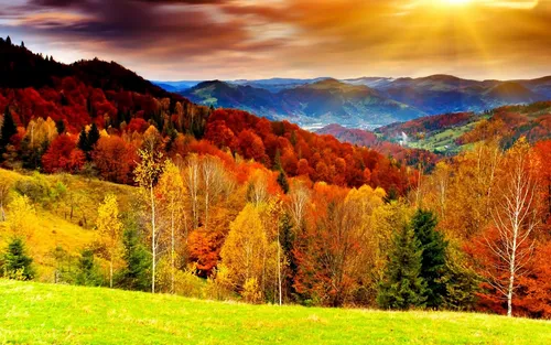 Золотая Осень Обои на телефон пейзаж с деревьями и горами на заднем плане