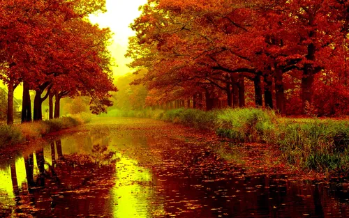 Осень Hd Обои на телефон река с деревьями по обе стороны