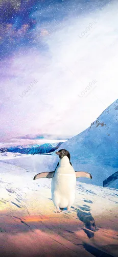 Пингвин Обои на телефон пингвин, стоящий на снегу