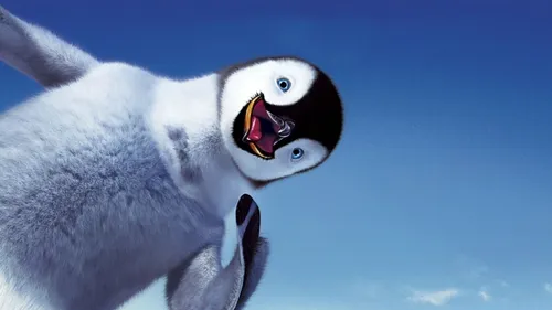 Пингвин Обои на телефон птица с открытым ртом