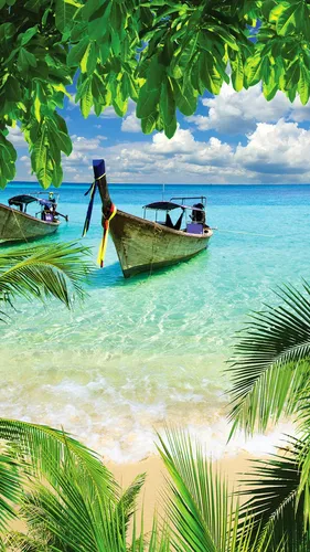 Пляж Пальмы Обои на телефон лодки в воде