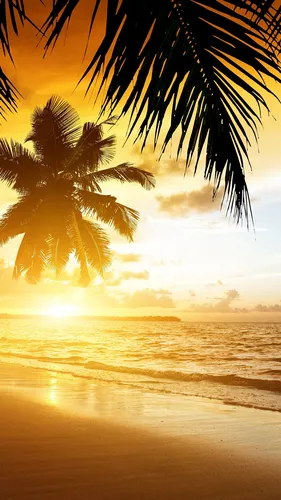 Пляж Пальмы Обои на телефон 4K