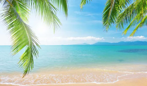 Пляж Пальмы Обои на телефон пляж с пальмами и водой