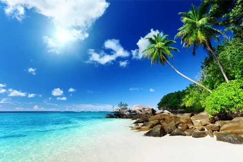 Пляж Пальмы Обои на телефон бесплатные обои