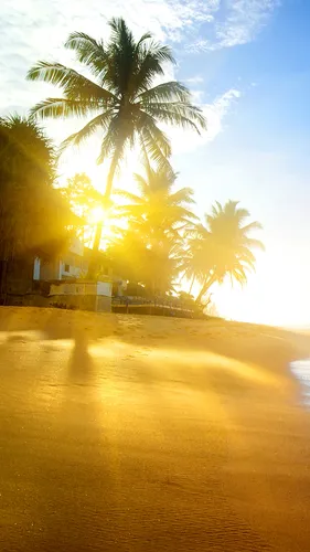 Пляж Пальмы Обои на телефон 2022