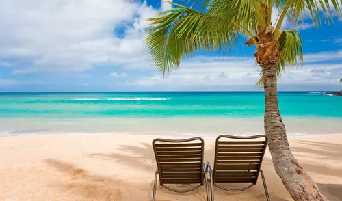 Пляж Пальмы Обои на телефон стулья под пальмой на пляже
