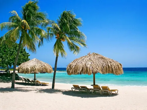 Пляж Пальмы Обои на телефон пляж с пальмами и зонтиками