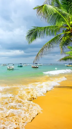 Пляж Пальмы Обои на телефон пляж с лодками в воде