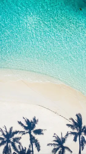 Пляж Пальмы Обои на телефон зелено-белое небо со звездами