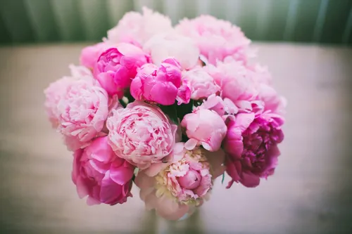 По Фен Шую Обои на телефон группа розовых цветов