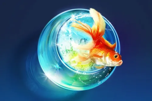 По Фен Шую Обои на телефон золотая рыбка в аквариуме