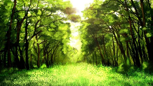 Природа Зелень Обои на телефон лес с деревьями
