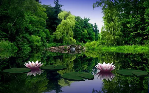 Природа Зелень Обои на телефон пруд с лилиями, лилиями и деревьями