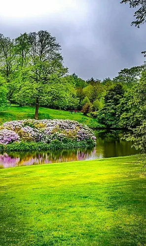 Природа Зелень Обои на телефон пруд с цветами и деревьями вокруг него