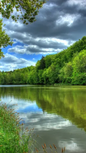 Природа Зелень Обои на телефон озеро, окруженное деревьями