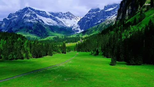 Природа Зелень Обои на телефон травянистая долина с деревьями и горами на заднем плане