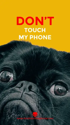 С Мопсами Обои на телефон собака с грустным лицом
