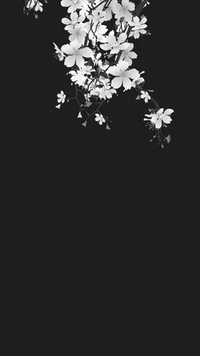 Темные Тона Обои на телефон белые цветы крупным планом