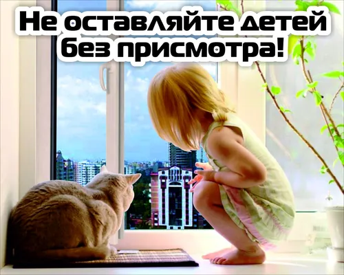 Уже А Ты Еще Жива Обои на телефон ребенок и кошка смотрят в окно