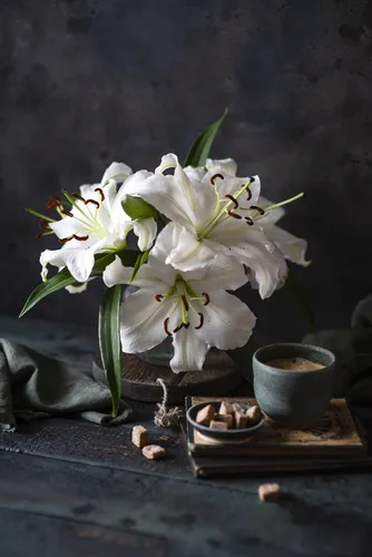 Цветы Лилии Обои на телефон белый цветок в вазе