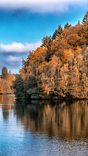 Озеро Обои на телефон водоем с деревьями вокруг