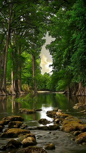Озеро Обои на телефон река со скалами и деревьями