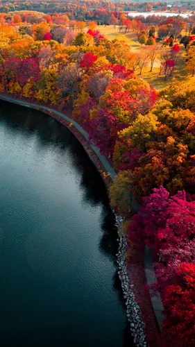 Озеро Обои на телефон река с деревьями вокруг нее