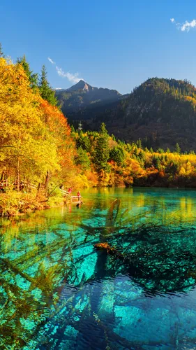 Озеро Обои на телефон водоем с деревьями и горами на заднем плане с Цзючжайгоу на заднем плане