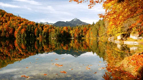 Осень Обои Обои на телефон озеро, окруженное деревьями и горами