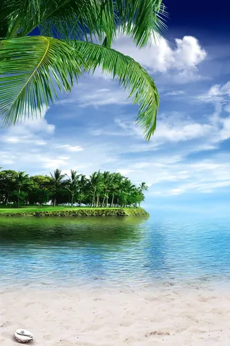 Остров Обои на телефон пляж с пальмами и водой