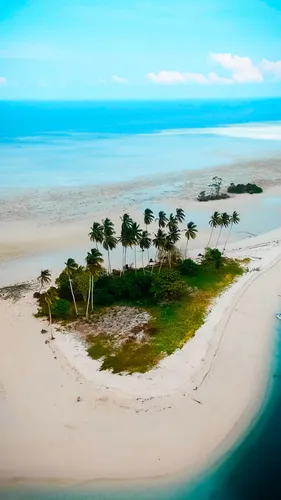 Остров Обои на телефон пляж с пальмами