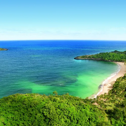 Остров Обои на телефон пляж с деревьями и кустами