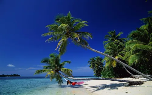 Остров Обои на телефон человек, лежащий на пляже