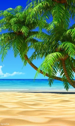 Остров Обои на телефон пальма на пляже