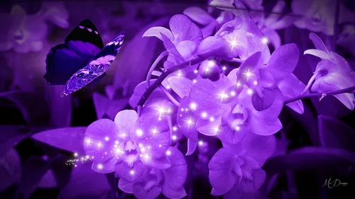 Пурпурные Обои на телефон бабочка на цветке