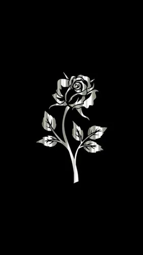 Черная Роза Обои на телефон черно-белое изображение цветка