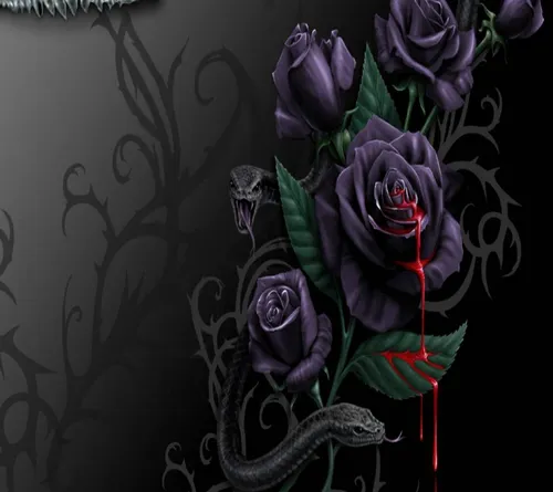 Черная Роза Обои на телефон группа фиолетовых роз