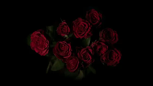 Черная Роза Обои на телефон букет красных роз
