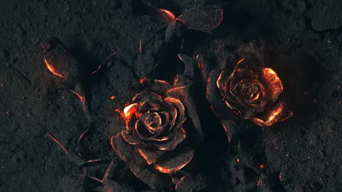 Черная Роза Обои на телефон крупный план пожара